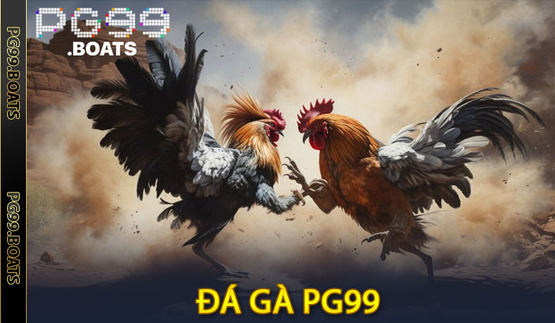 Đá Gà PG99 - Trải Nghiệm Môn Thể Thao Thú Vị Và Hấp Dẫn