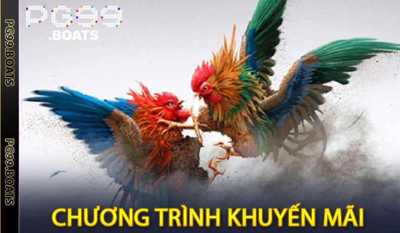 Đá Gà PG99 - Trải Nghiệm Môn Thể Thao Thú Vị Và Hấp Dẫn