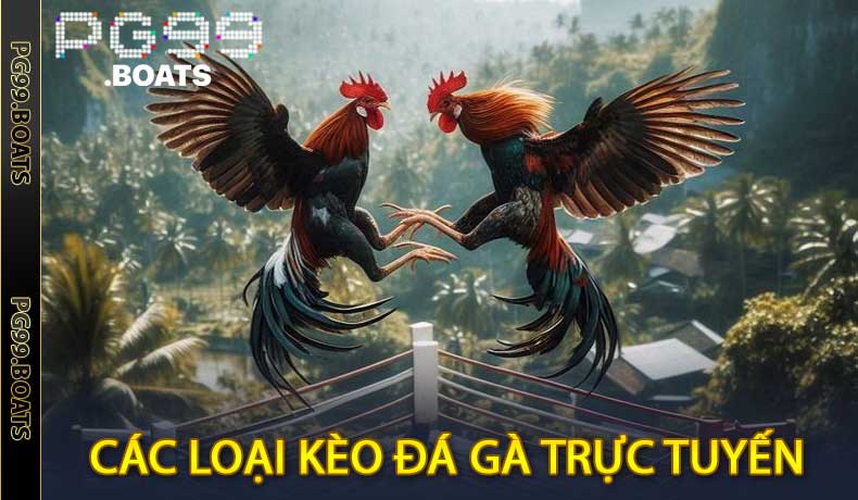 Đá Gà Trực Tuyến PG99 - Sân Chơi Đỉnh Cao 2026