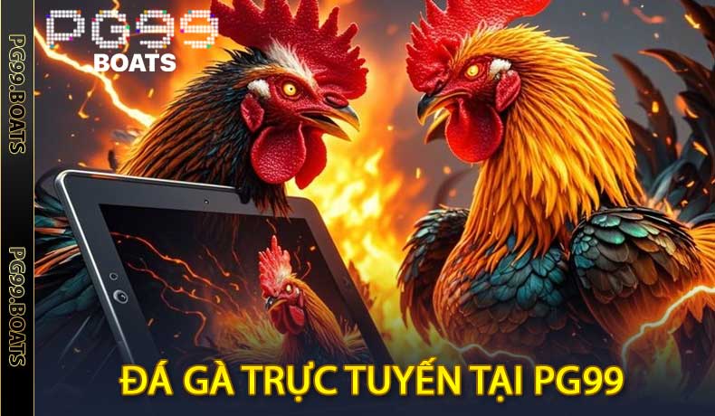 Đá Gà Trực Tuyến PG99 - Sân Chơi Đỉnh Cao 2026